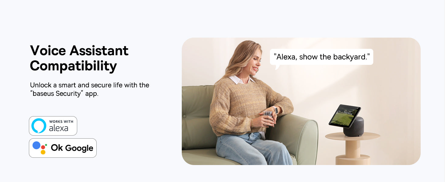 Voice Assistant Compatibility